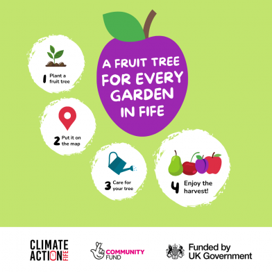 A Fruit Tree For Every Garden In Fife FB . Ins