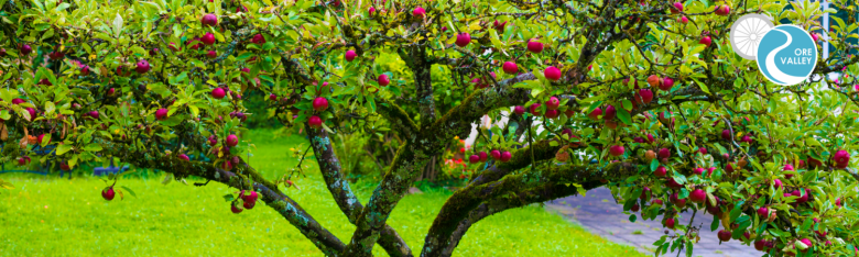 Banner Template For Website News OVHA 11 