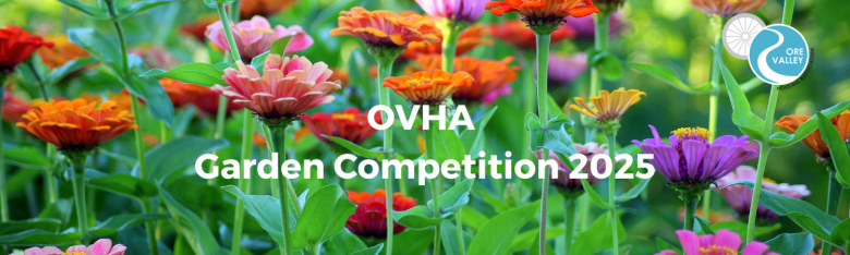 Banner Template For Website News OVHA 4 