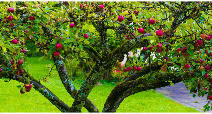 Banner Template For Website News OVHA 11 