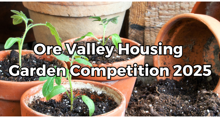 Banner Template For Website News OVHA 1 