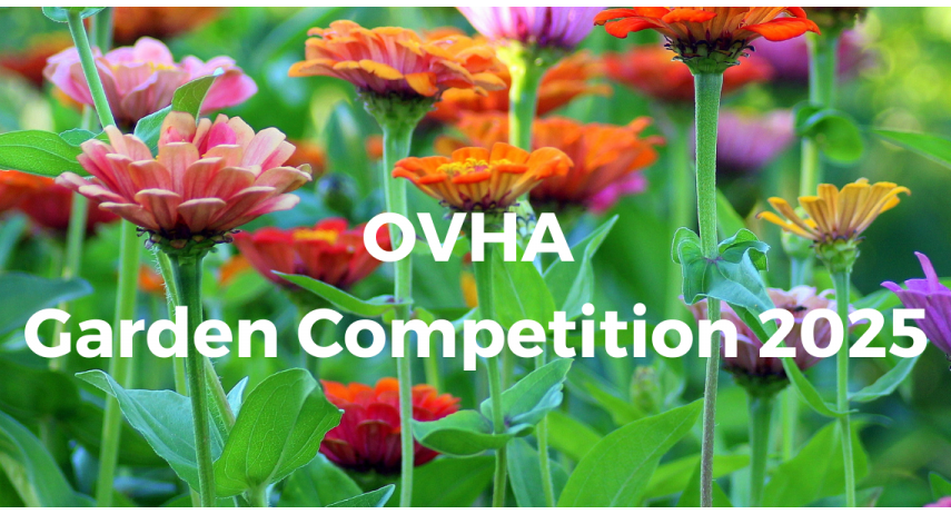 Banner Template For Website News OVHA 4 