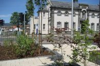 Community Gardens After Renovation